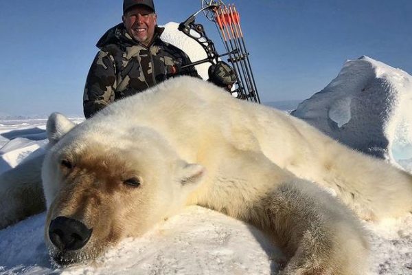 Angleterre : le WWF met fin à son soutien à la chasse au trophée