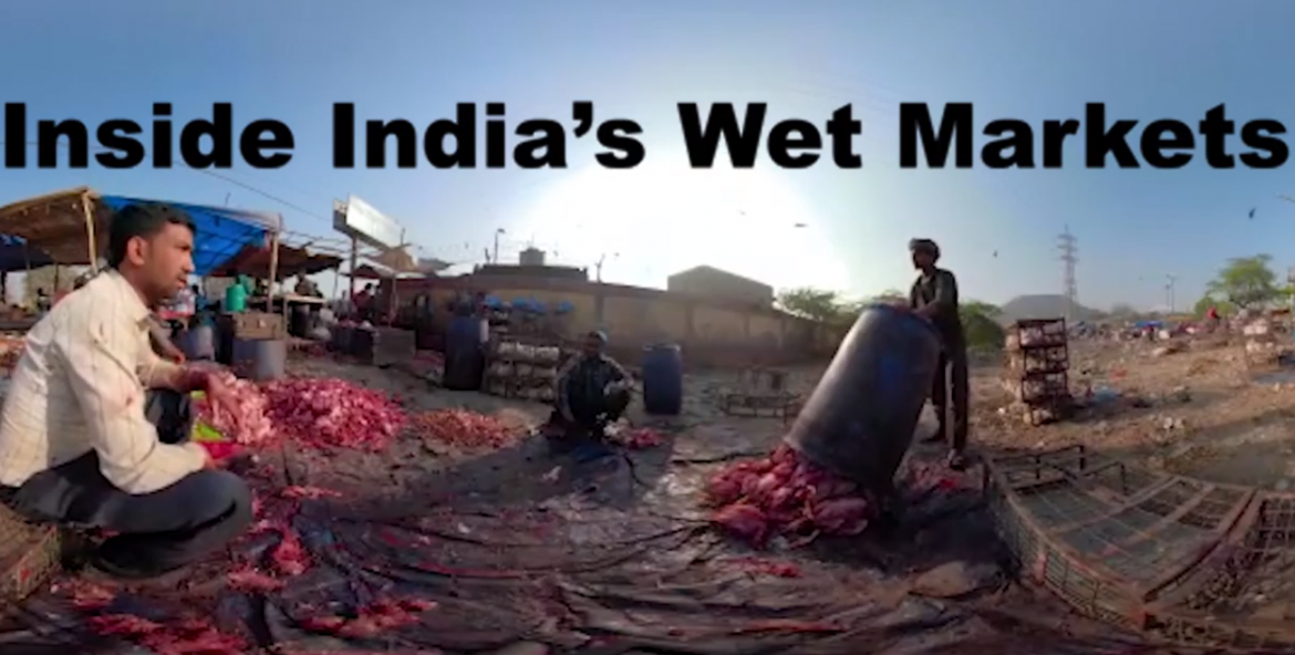 Lebendtier- und Fleischmärkte Gefahr einer neuen Pandemie in Indien