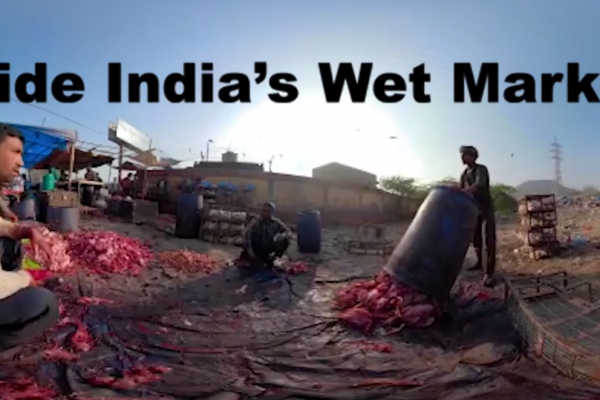 Marchés d'animaux vivants et de viande : risque d'une nouvelle pandémie en Inde