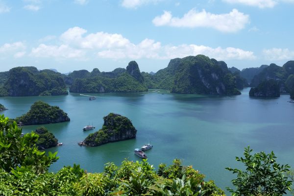 Le Vietnam interdit la chasse et le commerce d'animaux sauvages