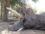 Meret Schneider: Hobby-Jäger töten auch im Ausland geschützte Tiere