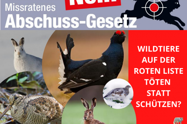 Jagdgesetze: Nicht fortschrittlich