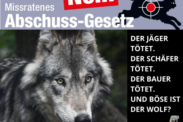 Tierschutz ins Jagdgesetz: Forderung wird lauter
