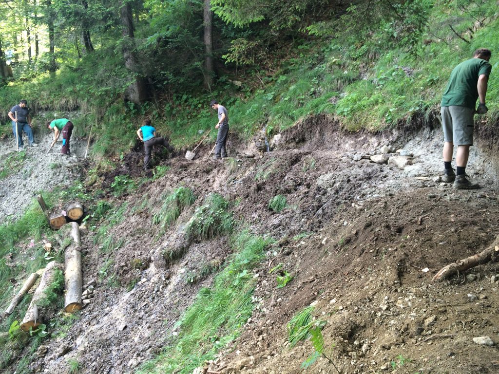 Jagdgesetz: NEIN im Interesse vom Bergwald