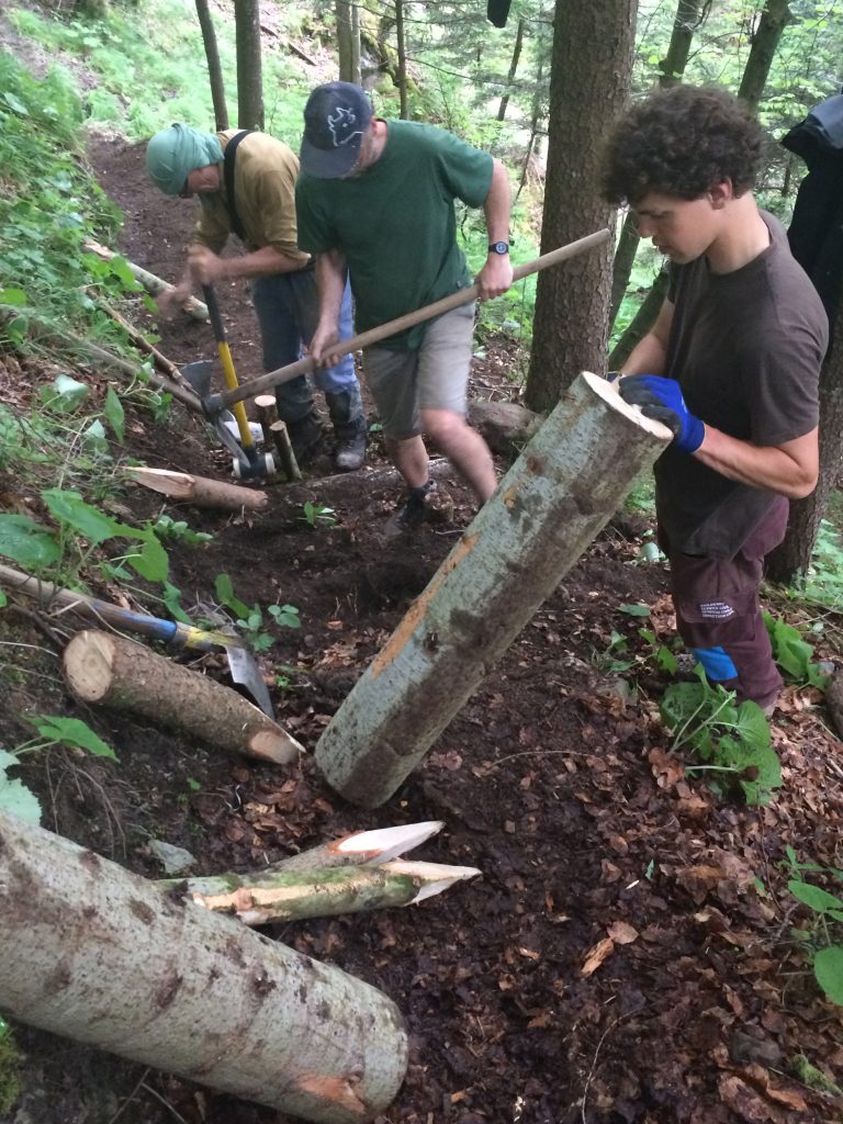 Jagdgesetz: NEIN im Interesse vom Bergwald