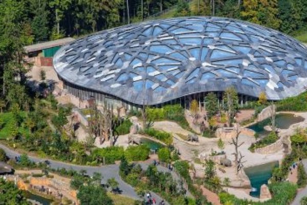 Zoo Zürich: Weiterer Tod eines Elefantenbabys