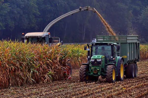 Cacciatore per hobby spara a un lavoratore agricolo