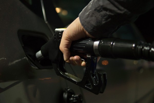 Le carcasse di visoni infette da Corona finiscono nel biodiesel?