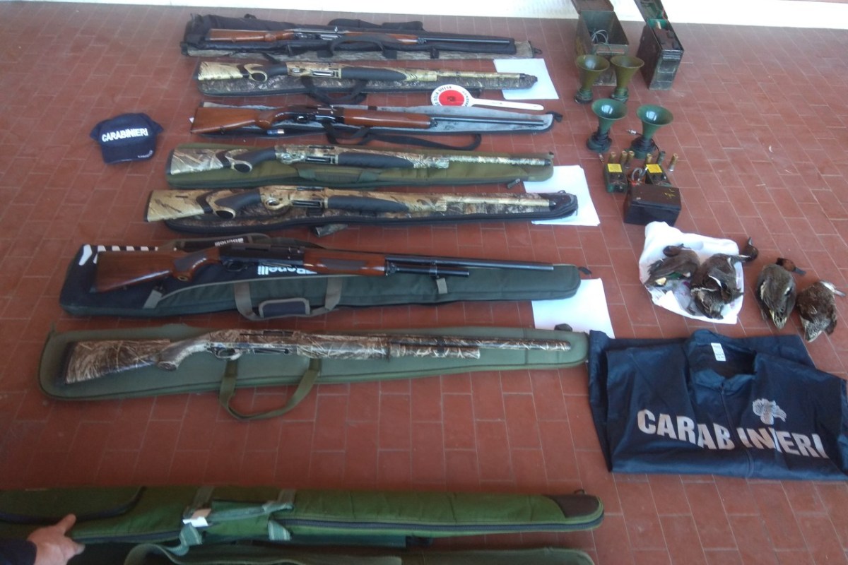 Polizei schlägt illegale Vogeljagd in Venezien