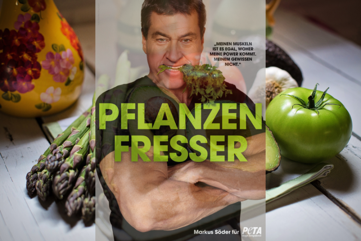 Markus Söder is(s)t vegan