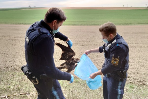 Bavière : 185 cas de criminalité liée aux espèces protégées depuis 2010
