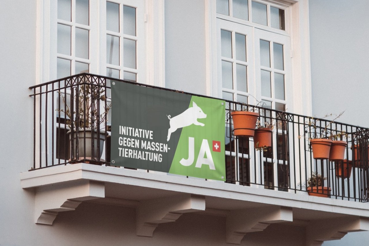 Massentierhaltung: Gegenentwurf schliesst über 90 % der Tiere aus