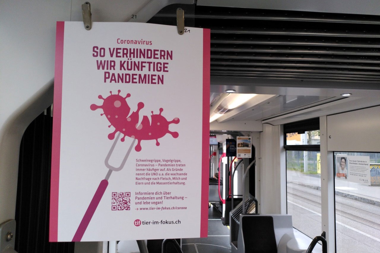 Mit richtiger Aufklärung gegen Corona