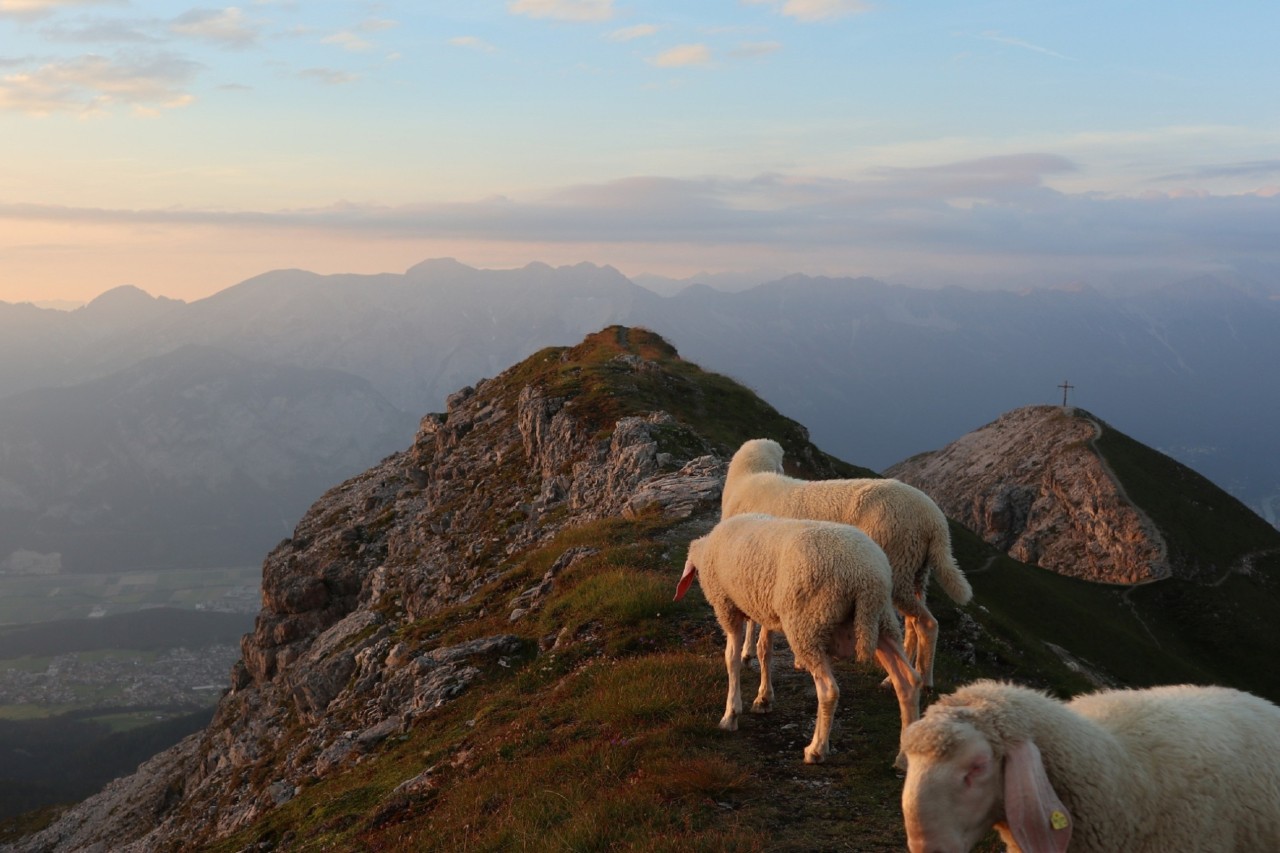 Bundesrat genehmigt revidierte Jagdverordnung