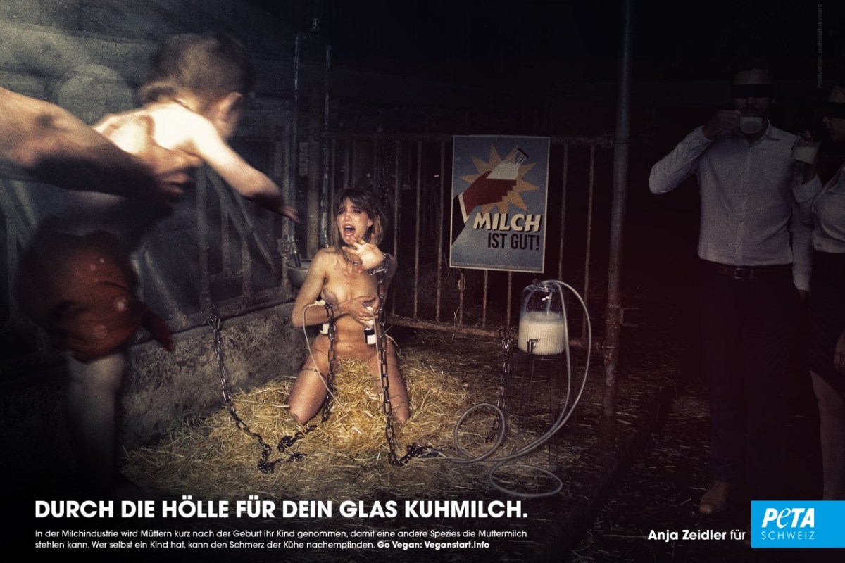 Durch die Hölle für dein Glas Kuhmilch