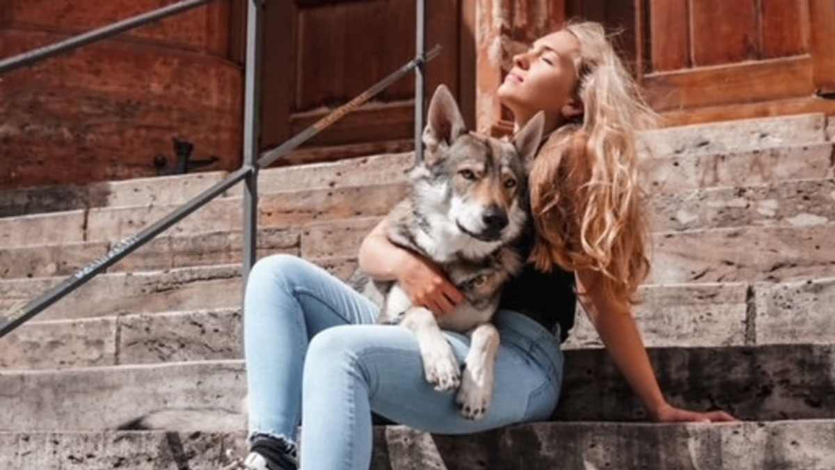 Hobby-Jäger erschiesst Wolfshund