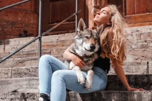 Hobby hunter shoots wolf-dog