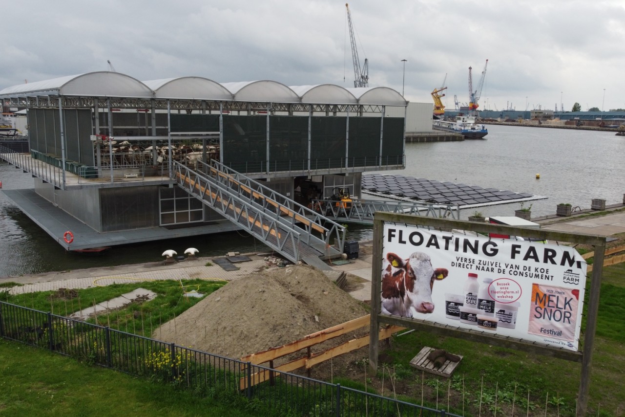 Schwimmender Kuhstall in Rotterdam