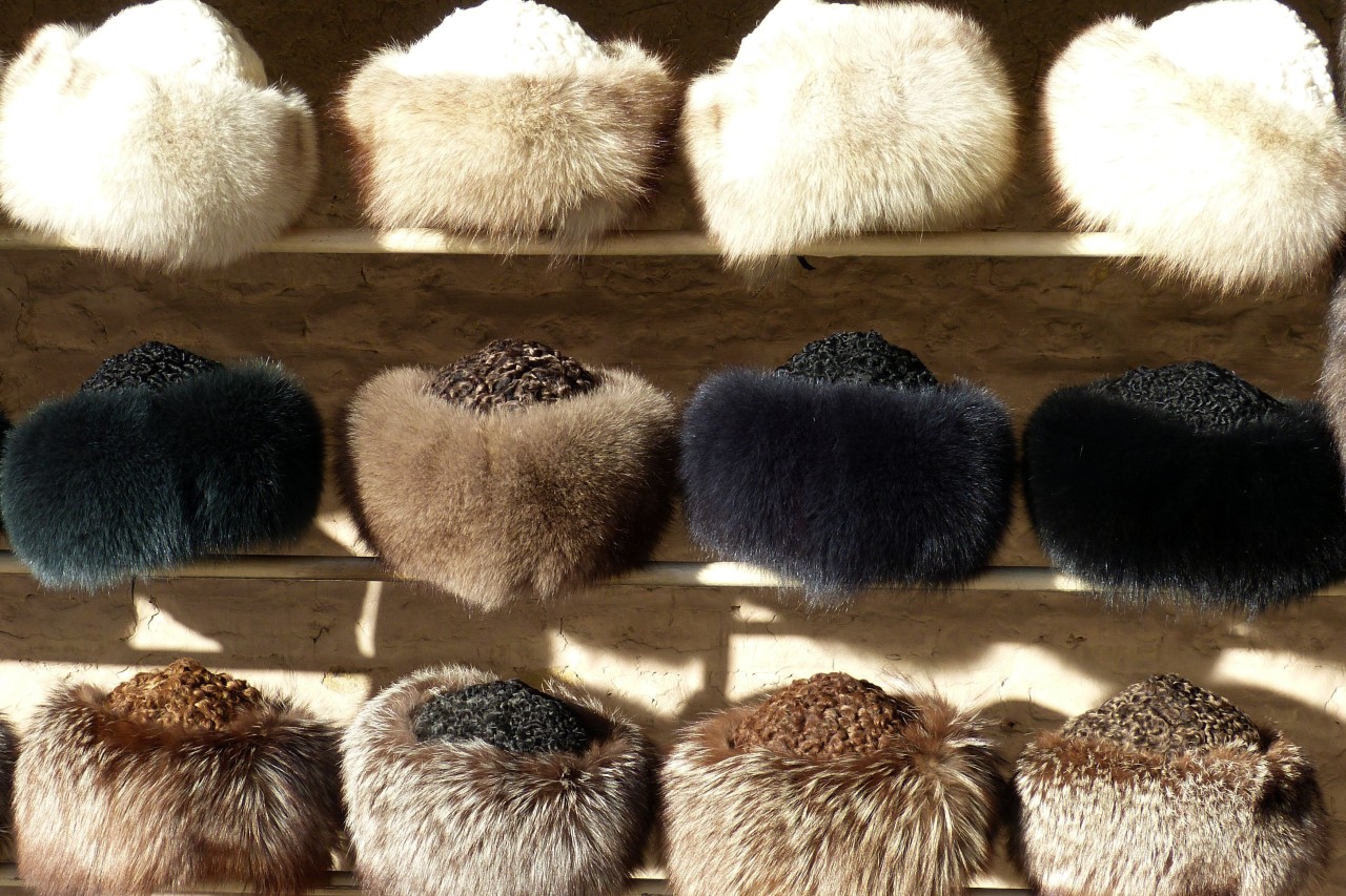 Tierrechtsgruppen fordern ein weltweites Verbot der Pelztierfarmen