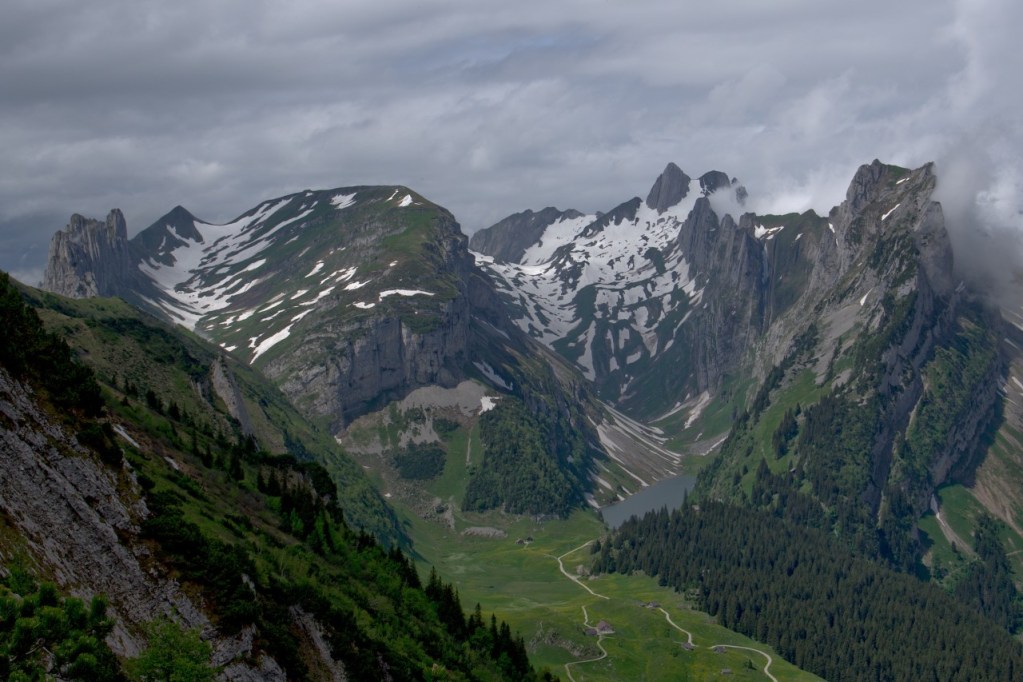 Amtsmissbrauch und Tierquälerei