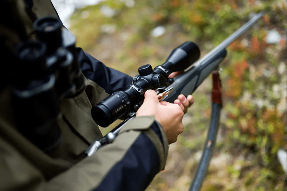 Heiligt der Zweck die Mittel bei der Nachtjagd auf Wildschweine?