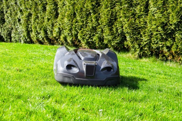Mähroboter gefährden Igel