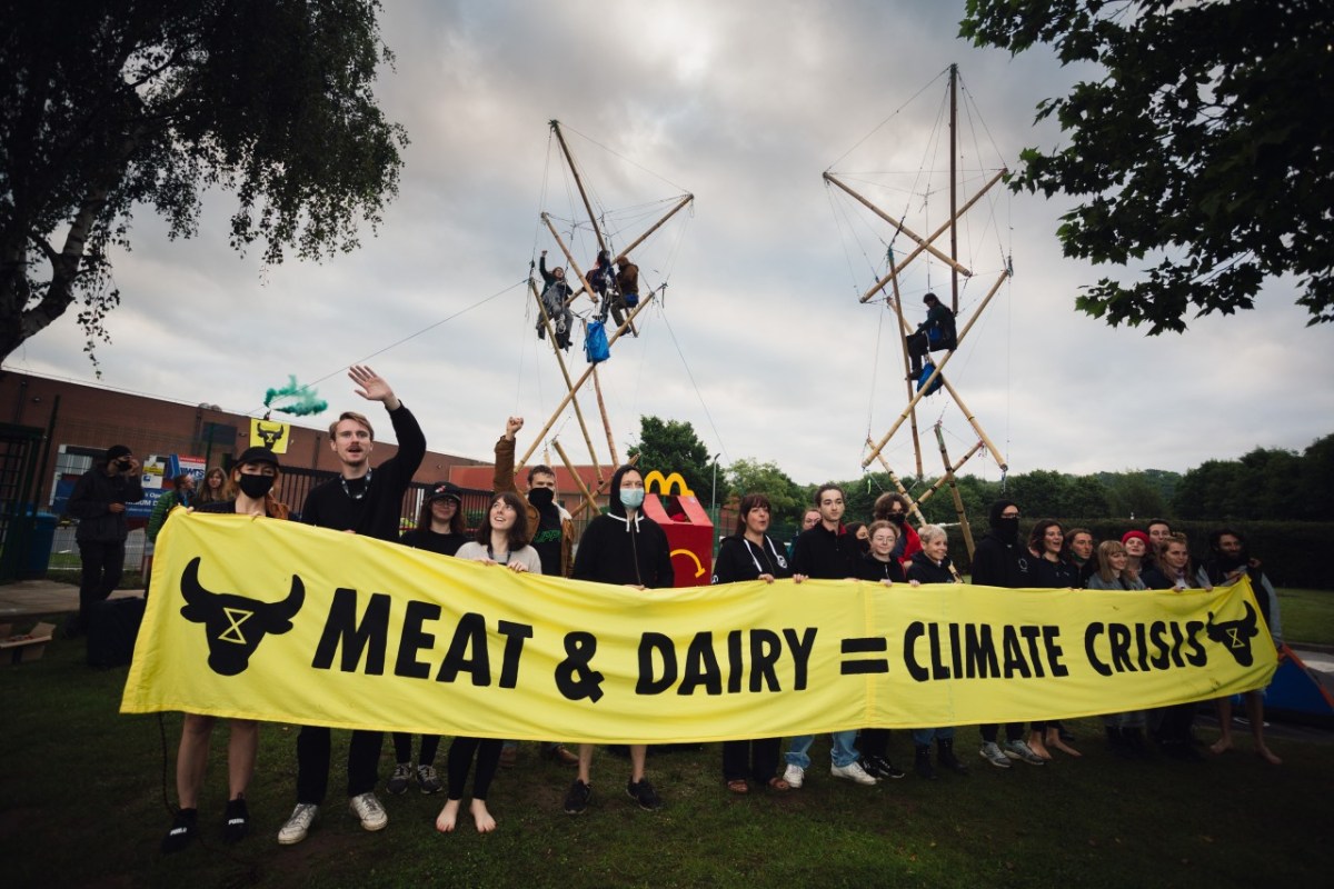 McDonald’s Burgerfabrik blockiert