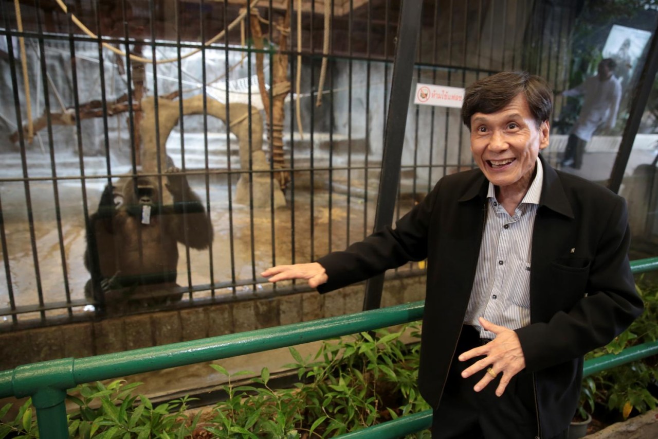 Tenants Leave Shopping Mall Over Animal Cruelty