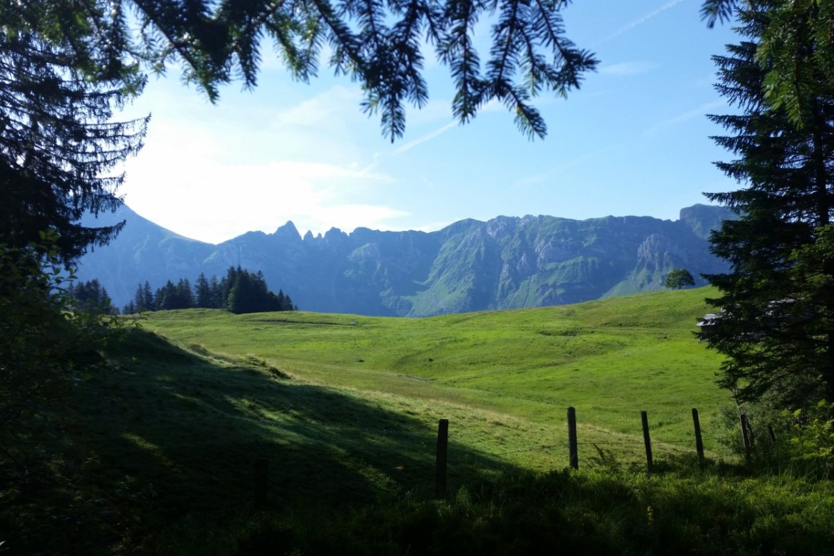 Neuaufteilung der Jagdaufsicht Appenzell Innerhoden