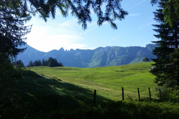 Neuaufteilung der Jagdaufsicht Appenzell Innerhoden