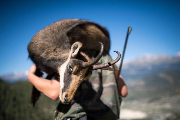 Hobby hunter wrongly punished