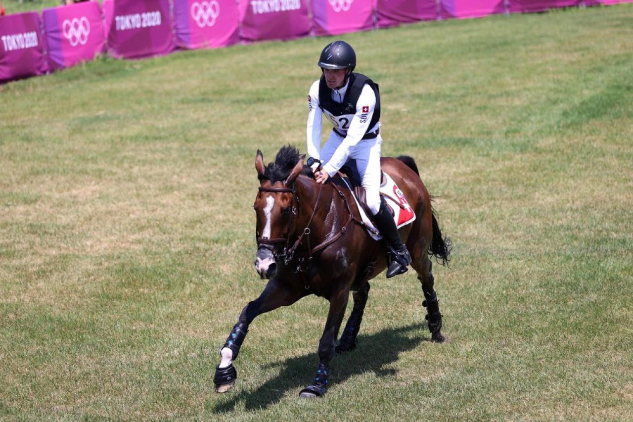 Vielseitigkeitsreiten an Olympia „Der Gipfel der Tierquälerei“