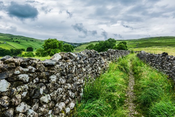 England: Fledermäuse, Schmetterlinge und Hummeln bedroht
