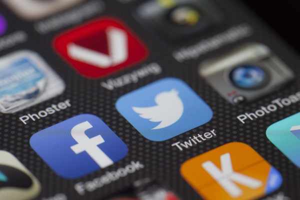Maltraitance animale : Facebook, TikTok et YouTube gagnent des millions