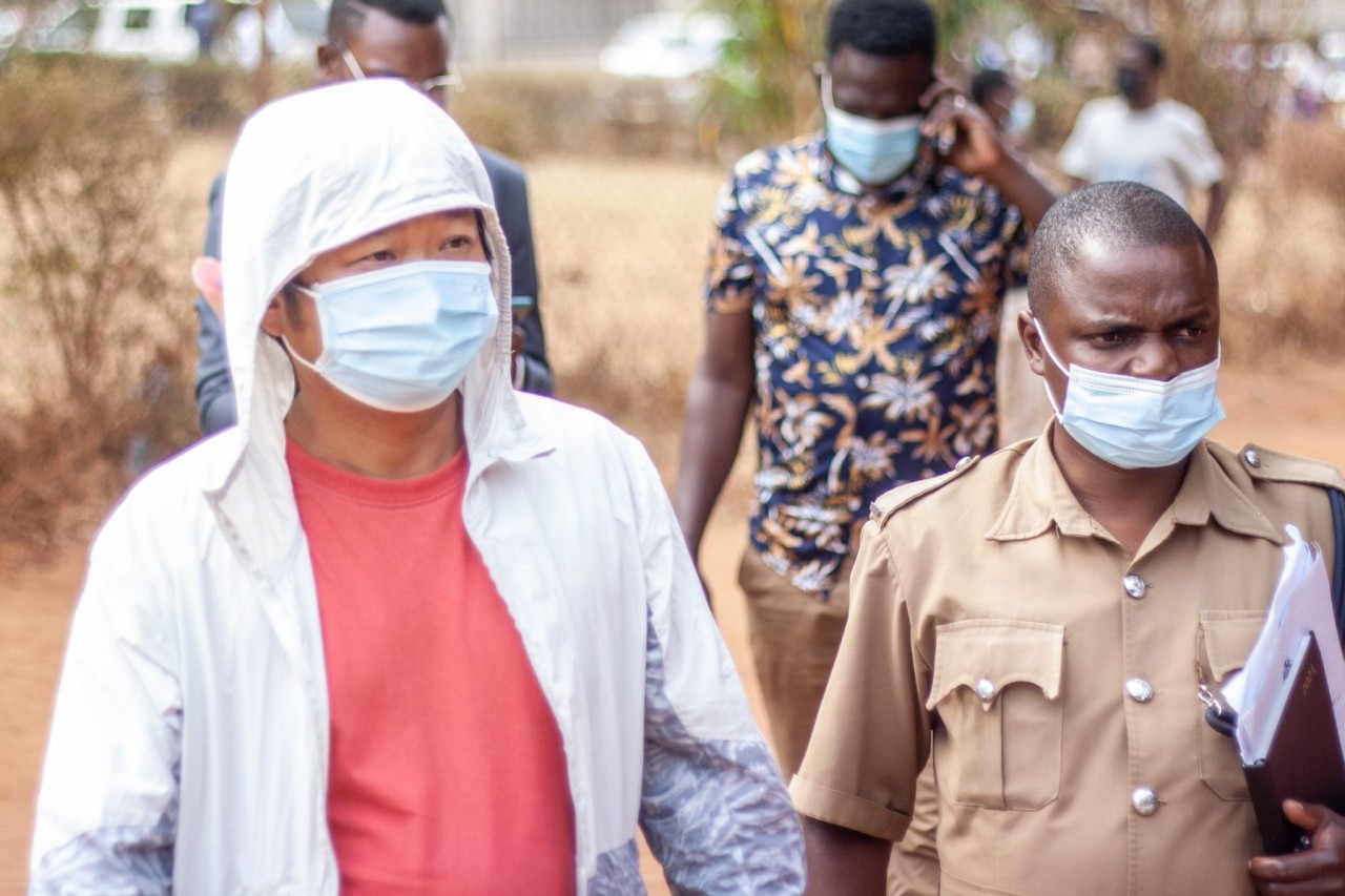 Afrika: Schlag gegen Wildtiermafia