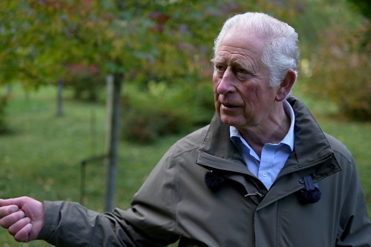 Prinz Charles warnt: Staatschefs reden nur