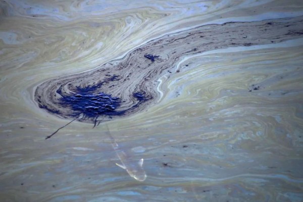 Ölteppich zerstört Natur an Kaliforniens Küste