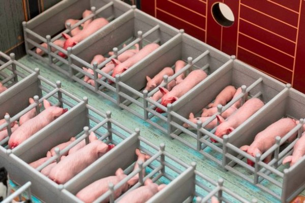 Le jouet «Ferme-usine»