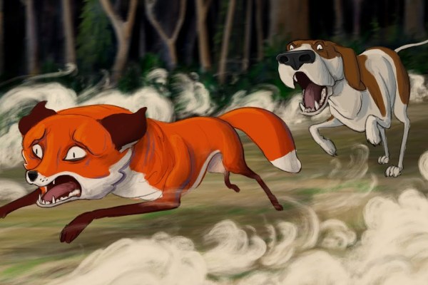 La chasse illégale au renard se poursuit en Angleterre