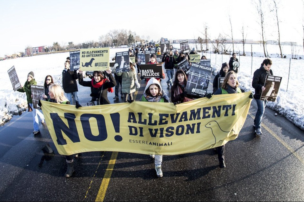 Italien verbietet Pelzfarmen