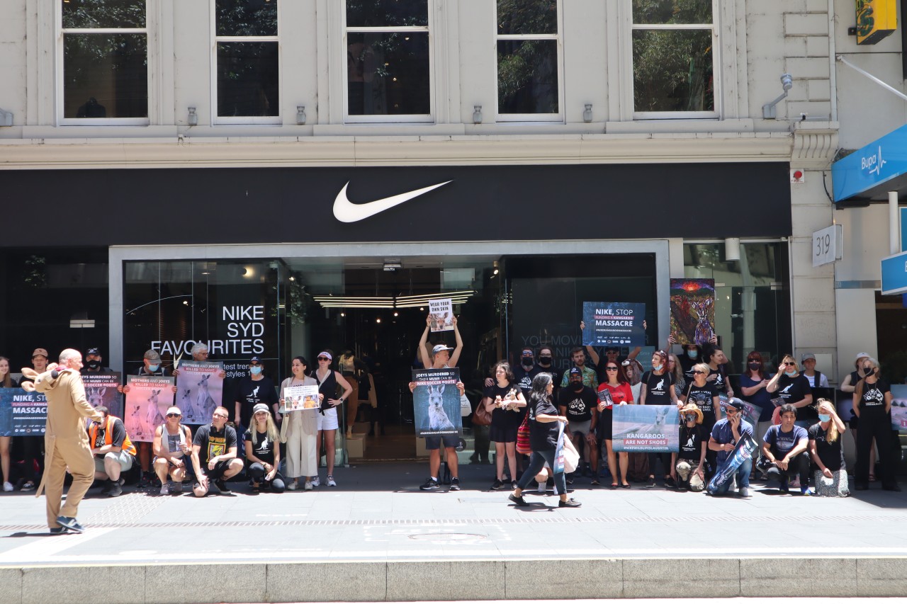 Nike tötet Kängurus für Fussballschuhe