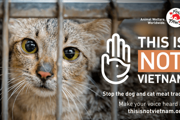 Campagne contre la viande de chien et de chat au Vietnam