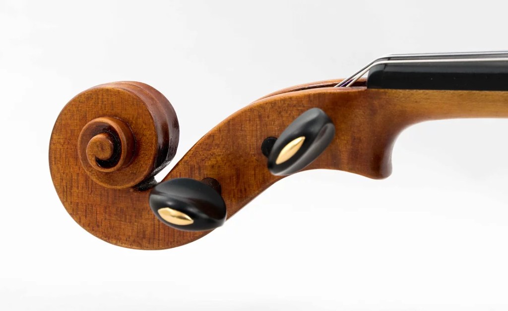 Vegane Geige Materialien