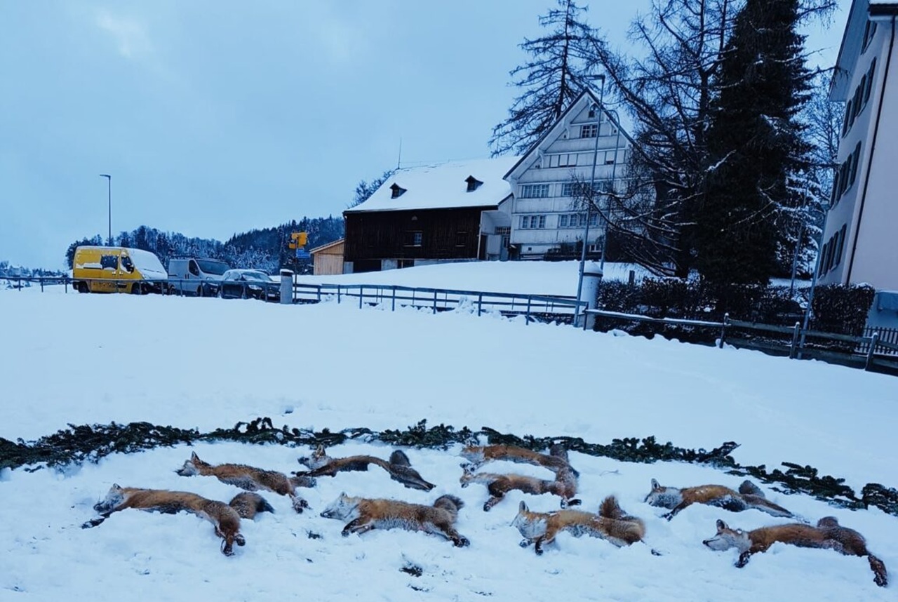 Appenzell: Hobby-Jäger zelebrieren «Nacht des Fuchses»