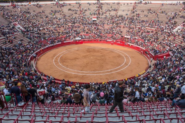 Mexique : un juge suspend les corridas