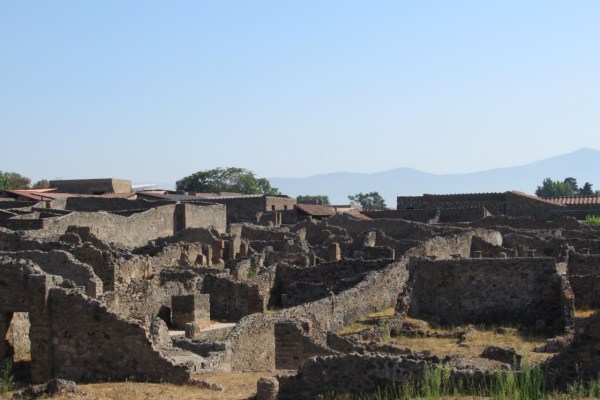 Pompeje: podczas wykopalisk odkryto ciężarnego żółwia