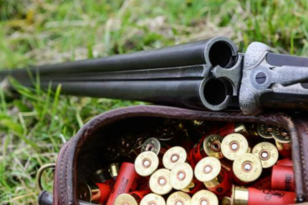 England: Jagdmunition tötet über 100’000 Vögel jährlich