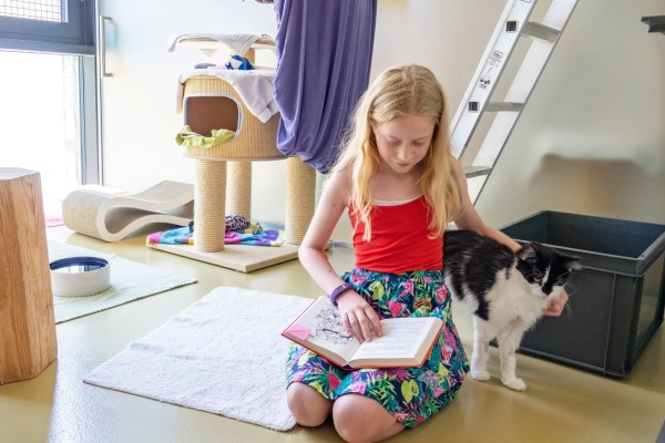 Children read to cats in animal shelter