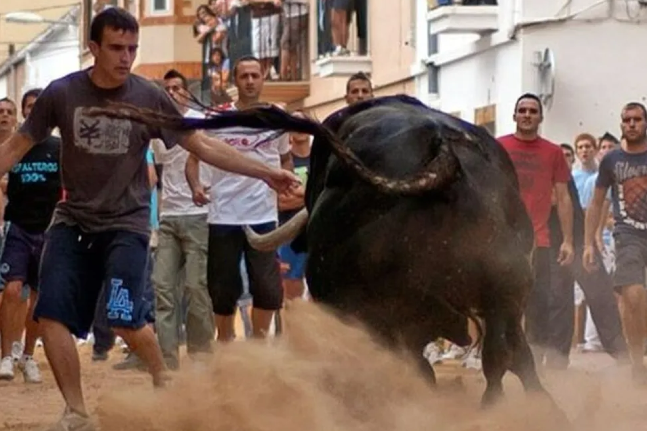 Archaische Stierrennen in Spanien fordern Menschenleben