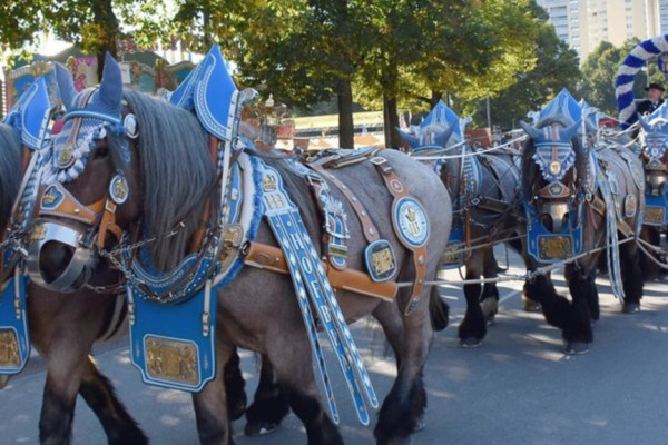 La tradition ne justifie pas la maltraitance animale